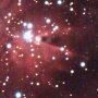 La nbuleuse du Cne, NGC2264